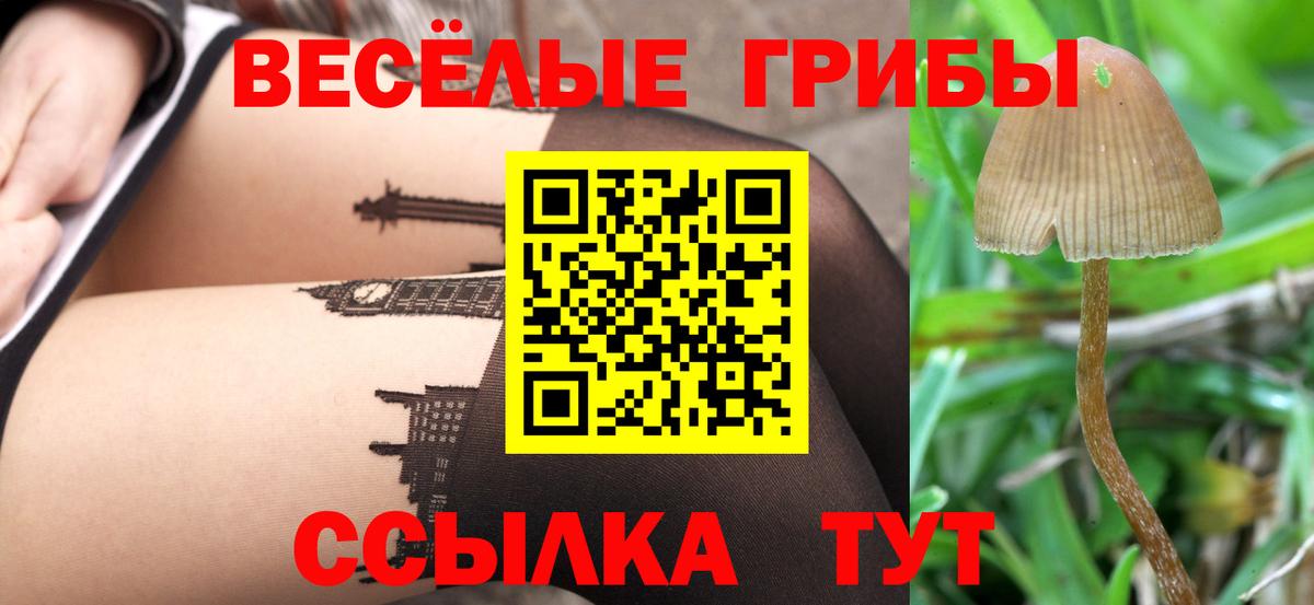 Владимир  Псилоцибиновые грибы Magic Shrooms  Вход с VPN 